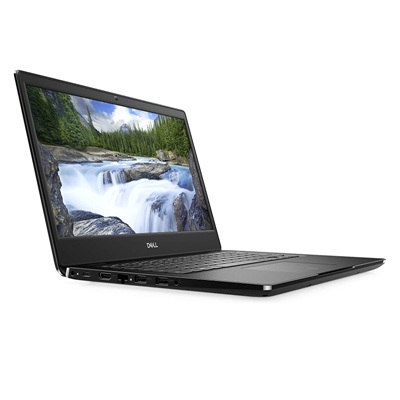 Dell Business Laptop